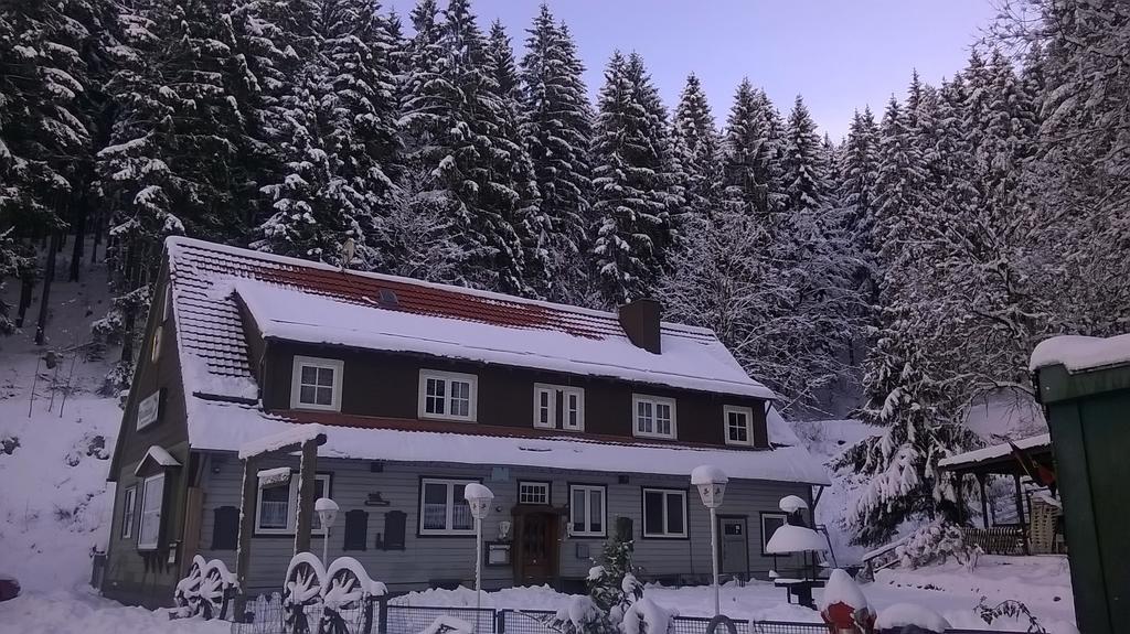 Waldpension Harzer Waldwinkel Бад-Грунд Экстерьер фото