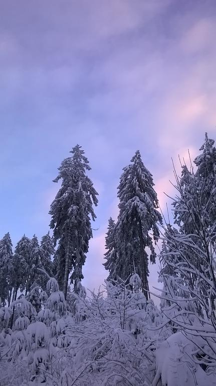 Waldpension Harzer Waldwinkel Бад-Грунд Экстерьер фото