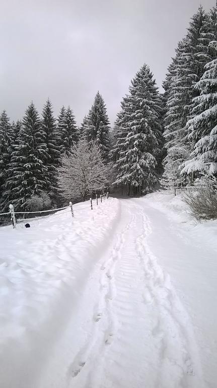 Waldpension Harzer Waldwinkel Бад-Грунд Экстерьер фото