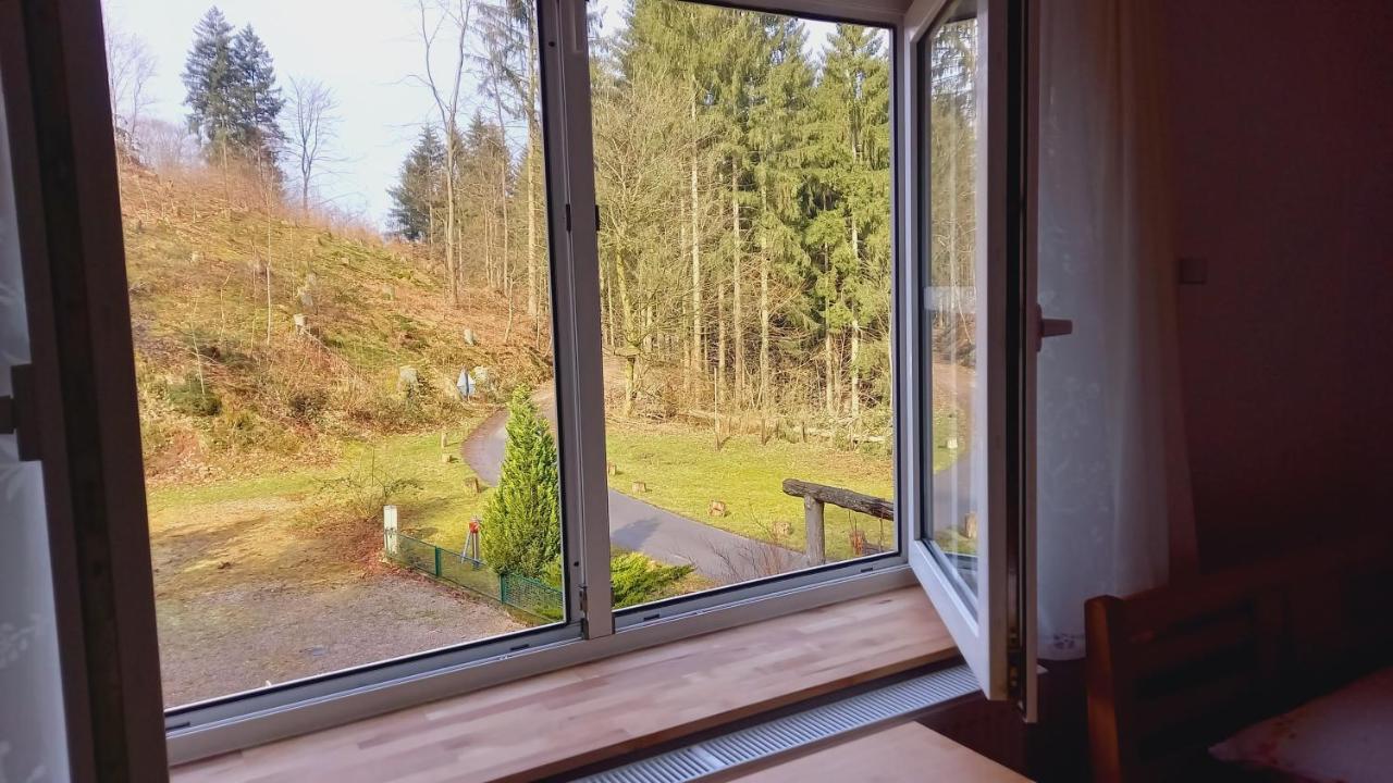 Waldpension Harzer Waldwinkel Бад-Грунд Экстерьер фото